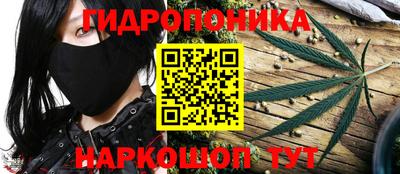дмт Заволжье