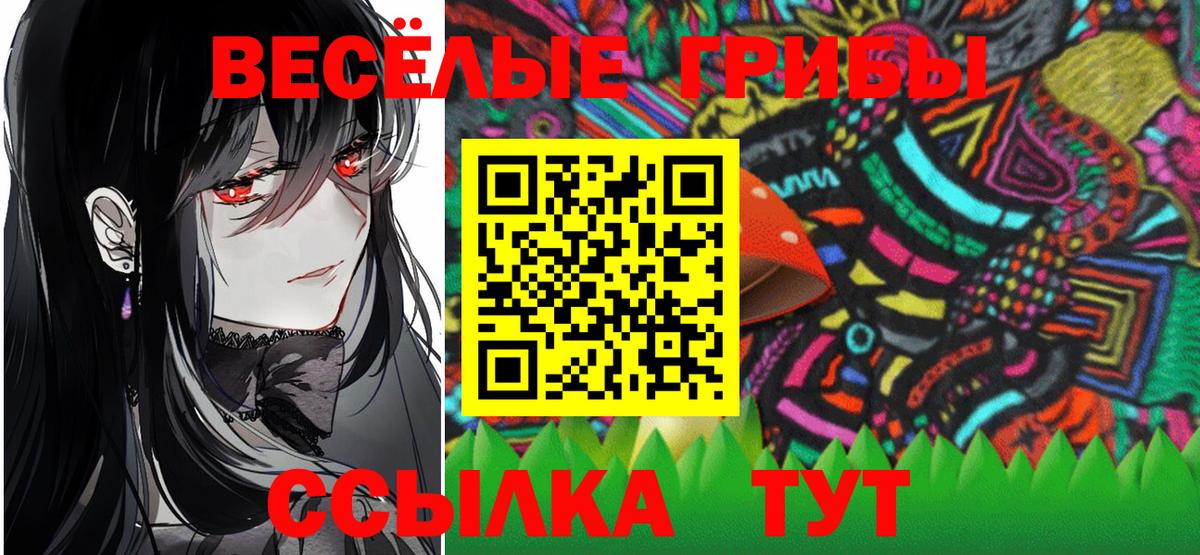 Галлюциногенные грибы мицелий  Галлюциногенные грибы Psilocybe  Вход с VPN  Кушва 