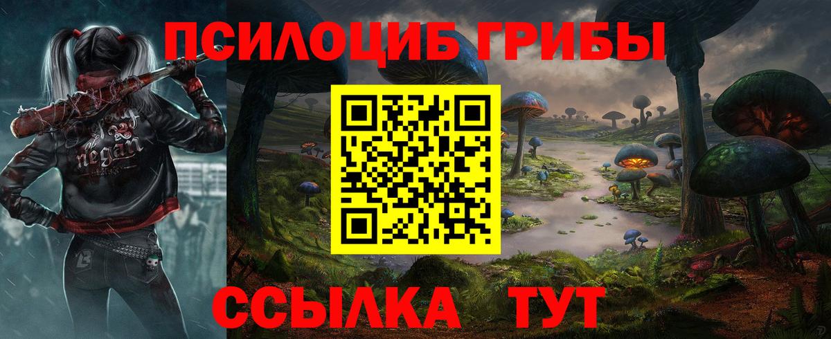 Псилоцибиновые грибы Cubensis Кушва